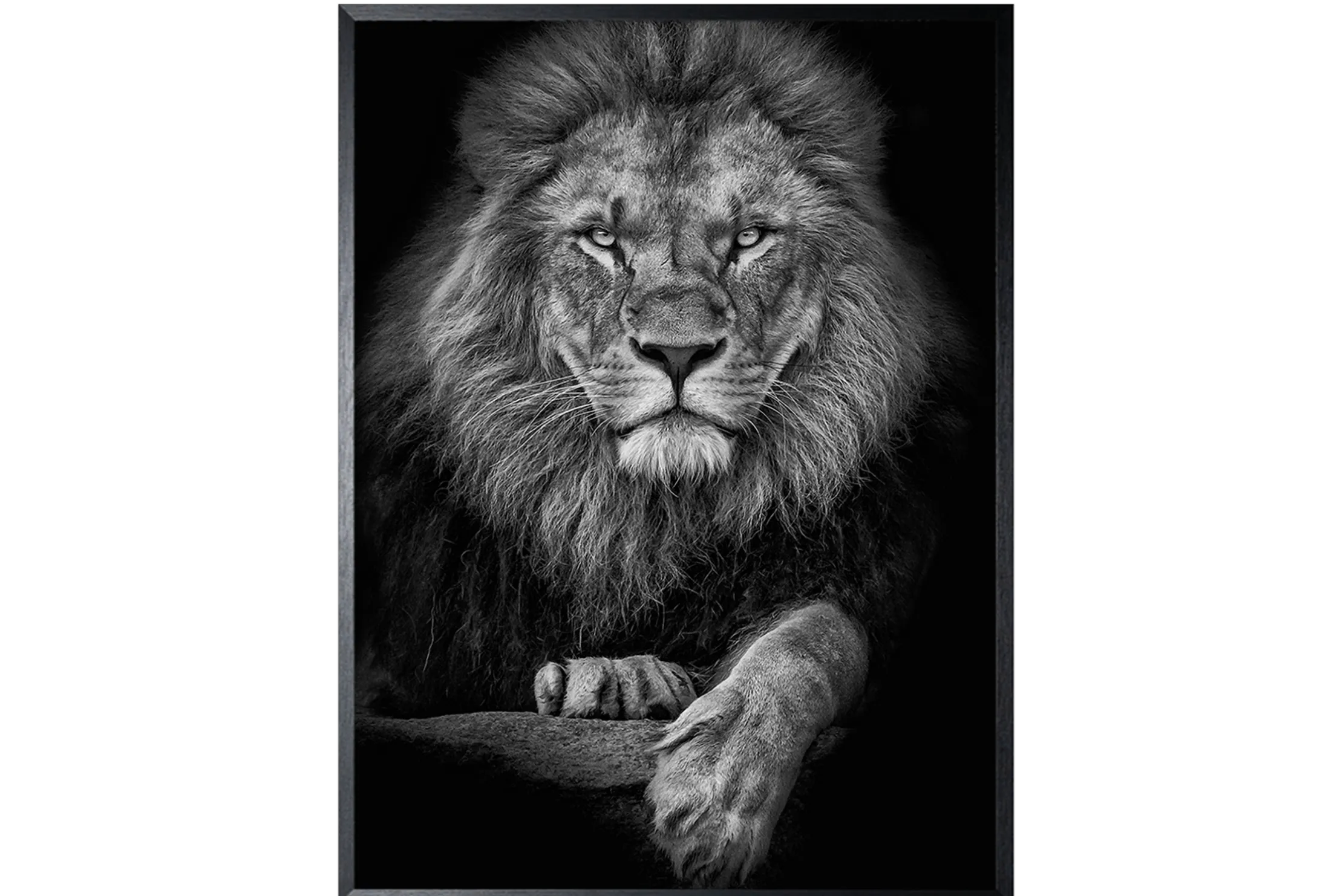 Art Print Leeuwenkop SHB634-TU0