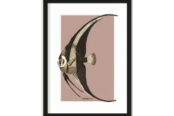 Art Print Mola Mola