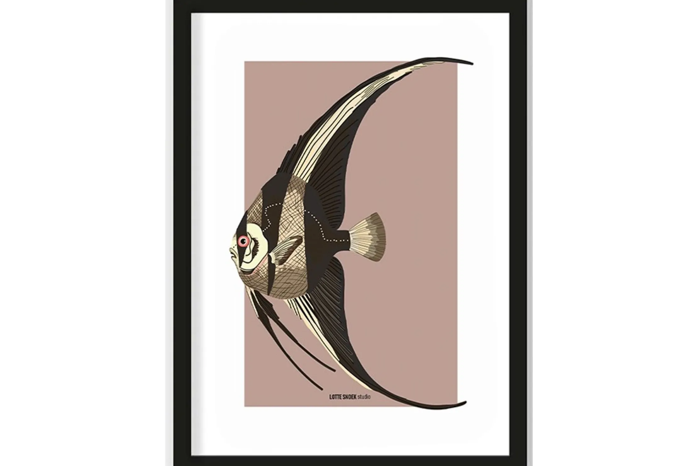 Art Print Mola Mola