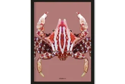 Art Print Villo Donus