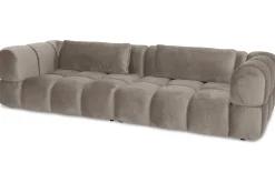 Bankstel Delight