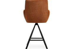 Barkruk Mojave