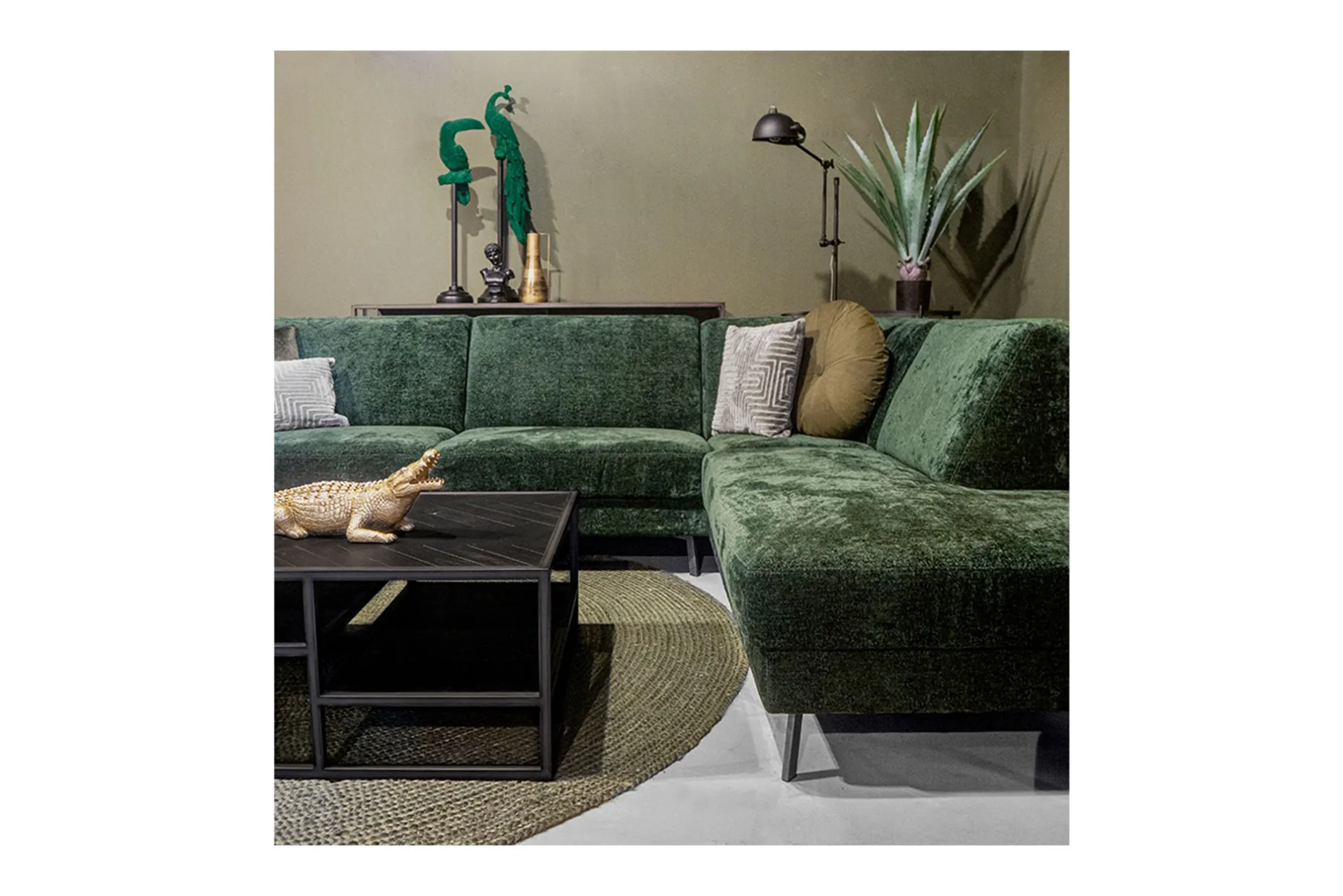 Beeld 210359 Crocodile