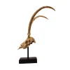 Deco H13 Gazelle Skull