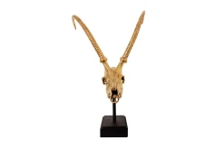 Deco H13 Gazelle Skull