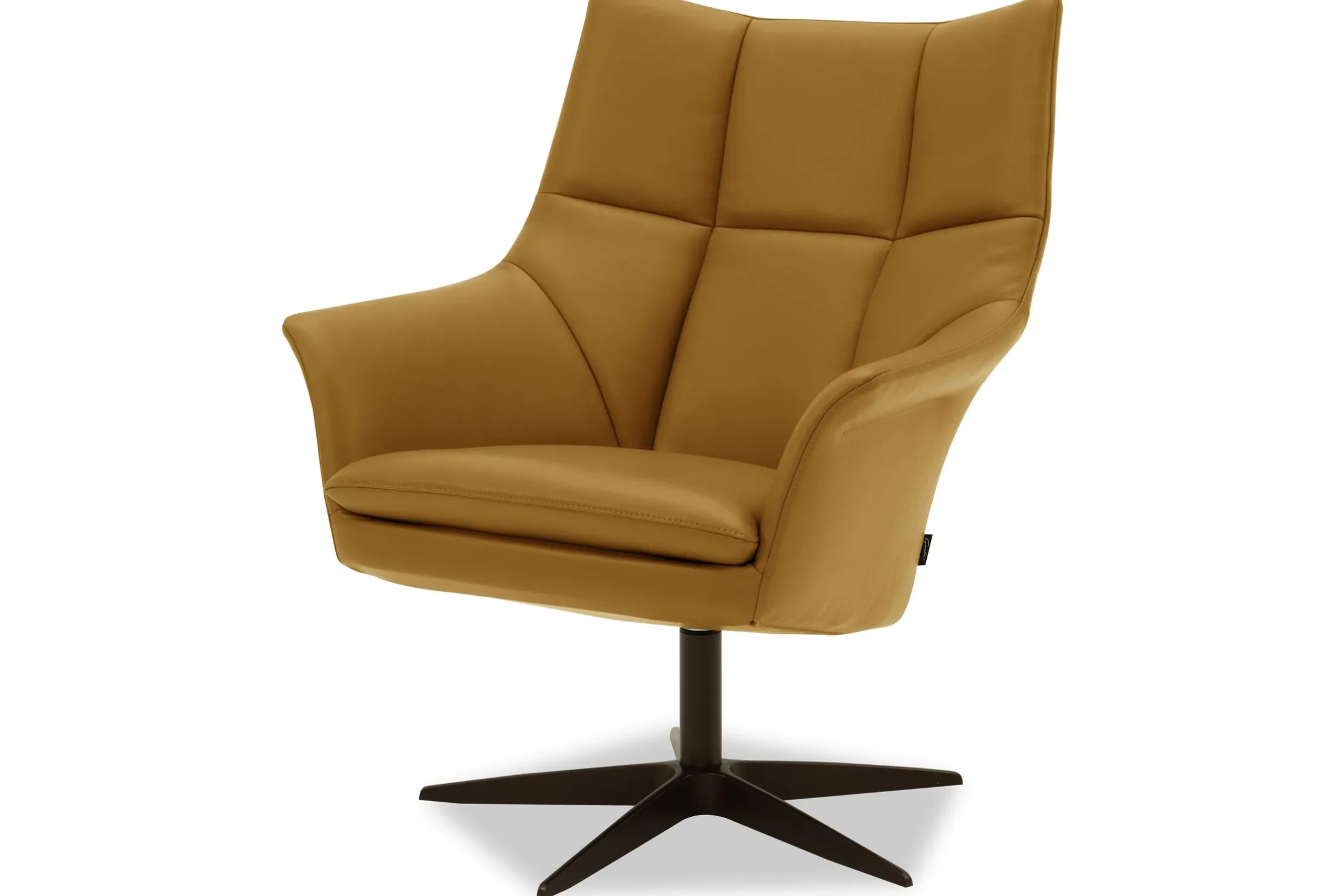 Draaifauteuil Amura