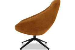 DraaifauteuilBoudewijn