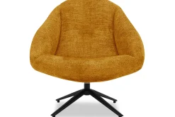 DraaifauteuilBoudewijn