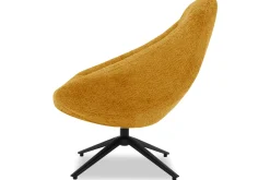 DraaifauteuilBoudewijn