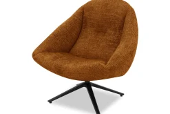 DraaifauteuilBoudewijn