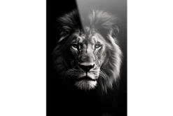 Glasschilderij Mighty Lion