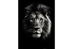 Glasschilderij Mighty Lion