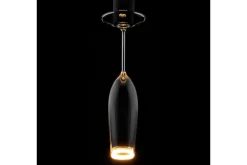 Hanglamp Cheers Madox | Segula