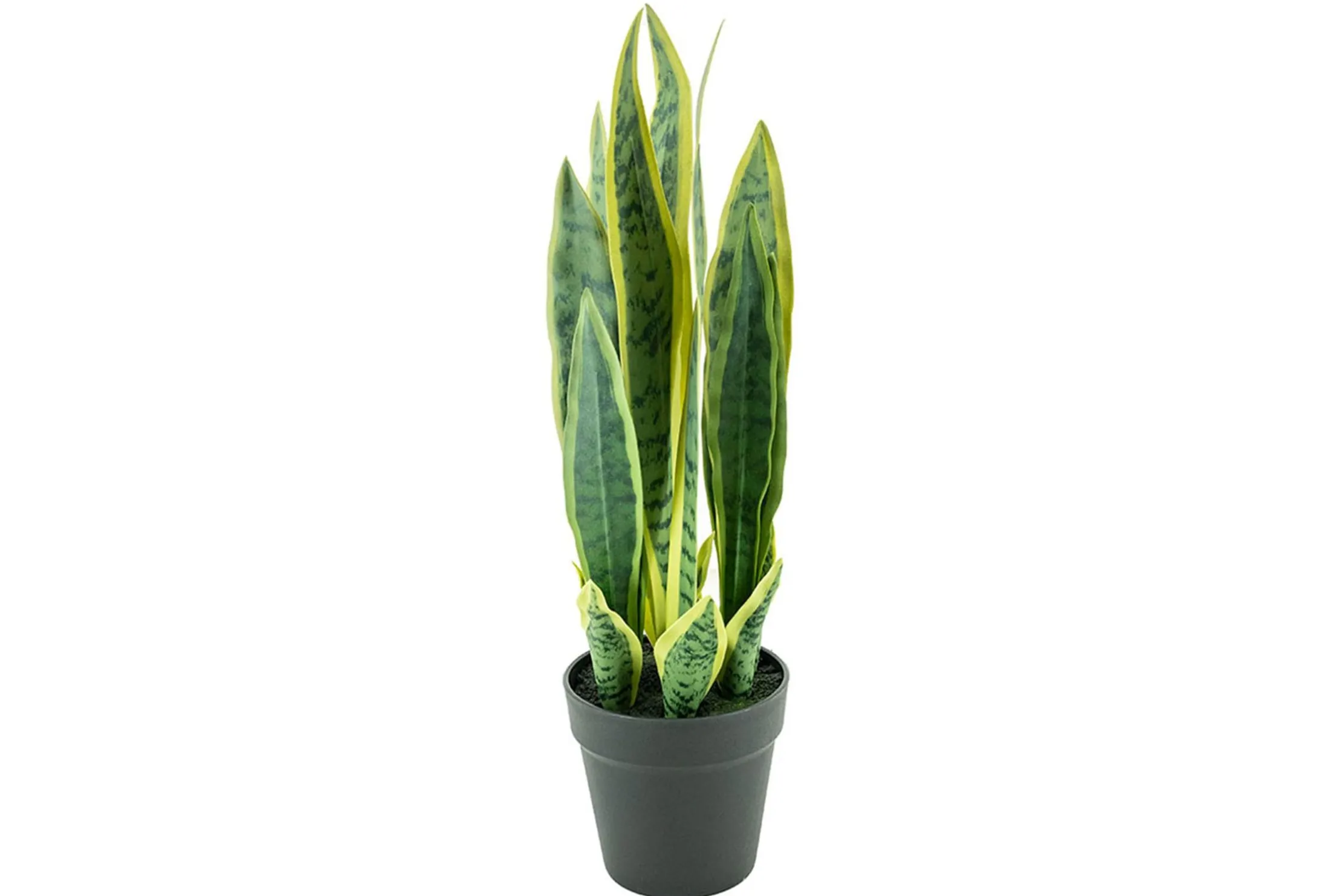 Kunstplant 405116 Sanseveria