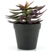 Kunstplant 403114 Vetplant
