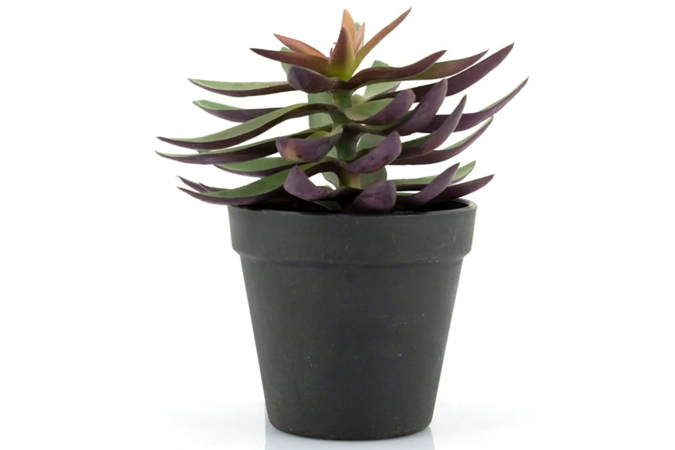 Kunstplant 403114 Vetplant