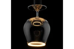 Lichtbron | Segula
