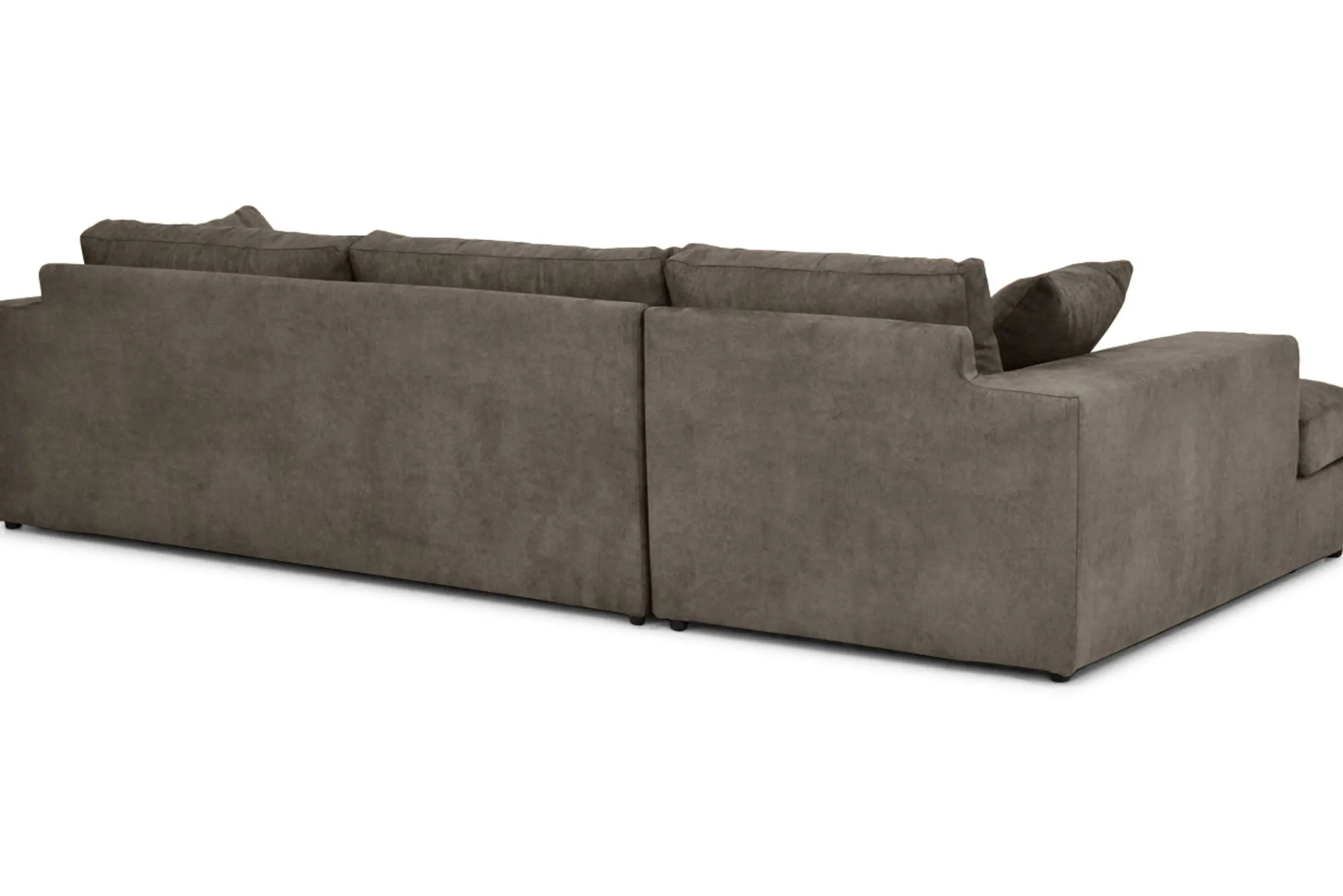 Loungebank Handsome
