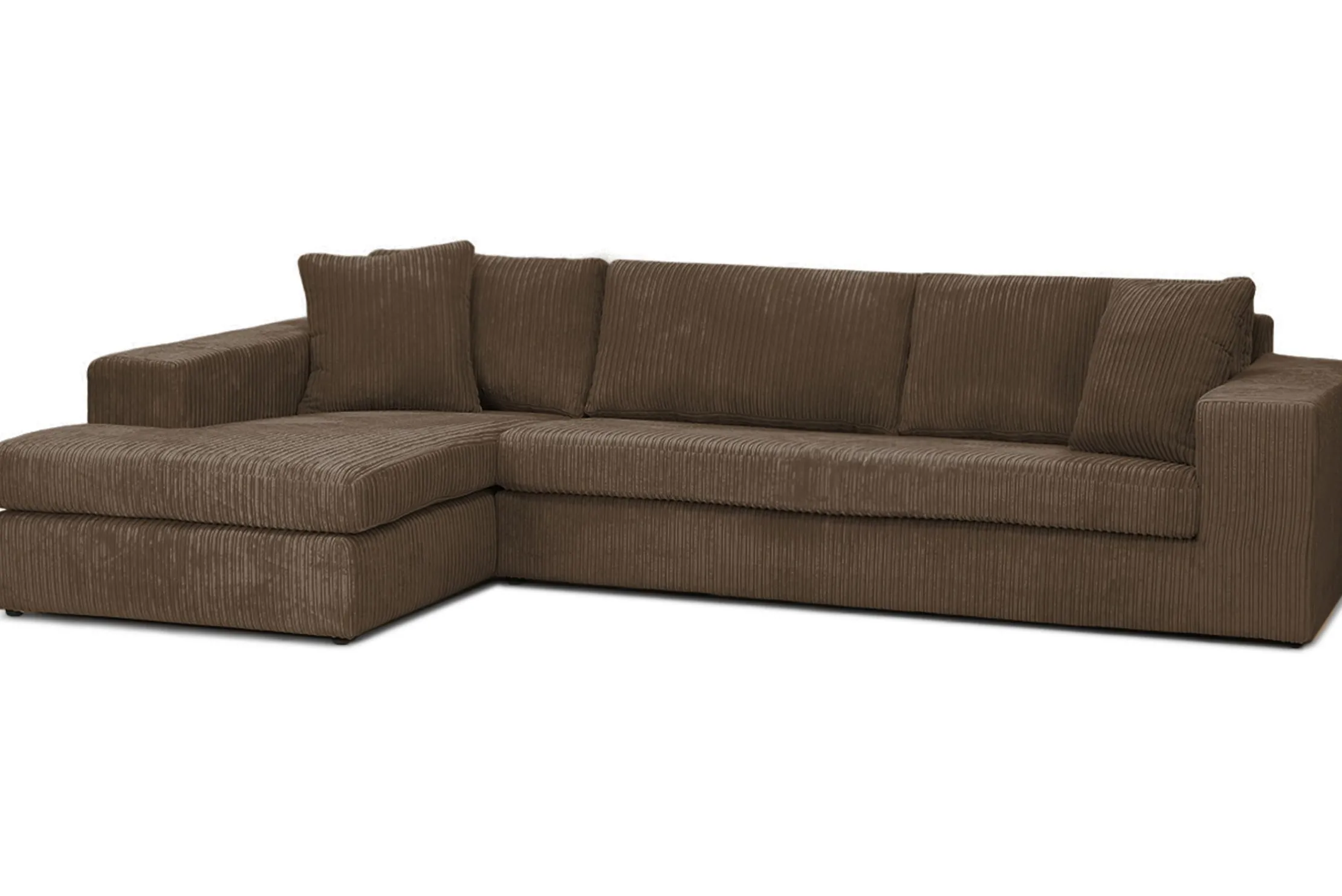 Loungebank Handsome