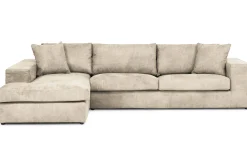 Loungebank Handsome