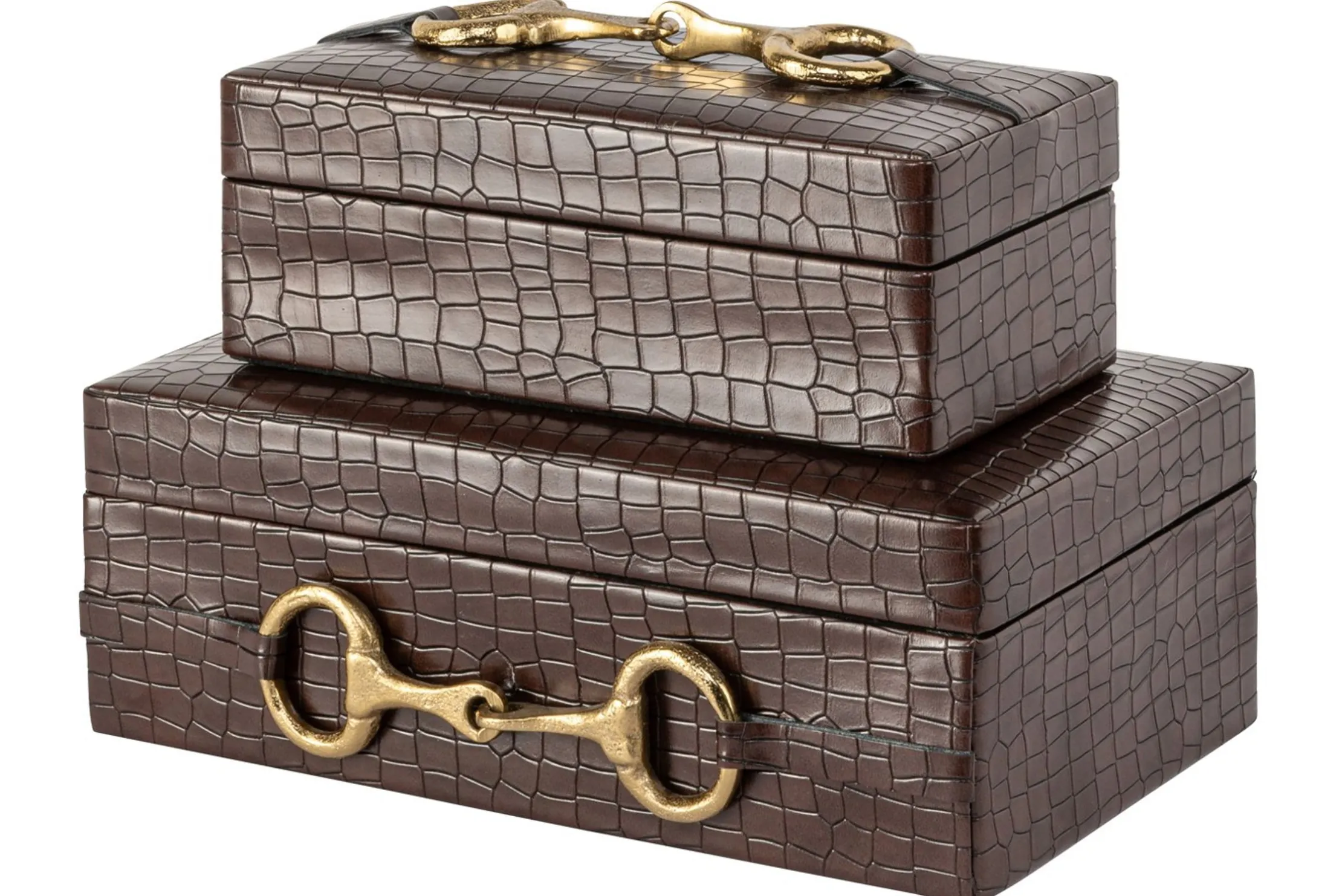 Opbergbox 215836 Rex