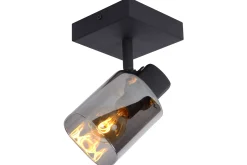 Plafondlamp Alion