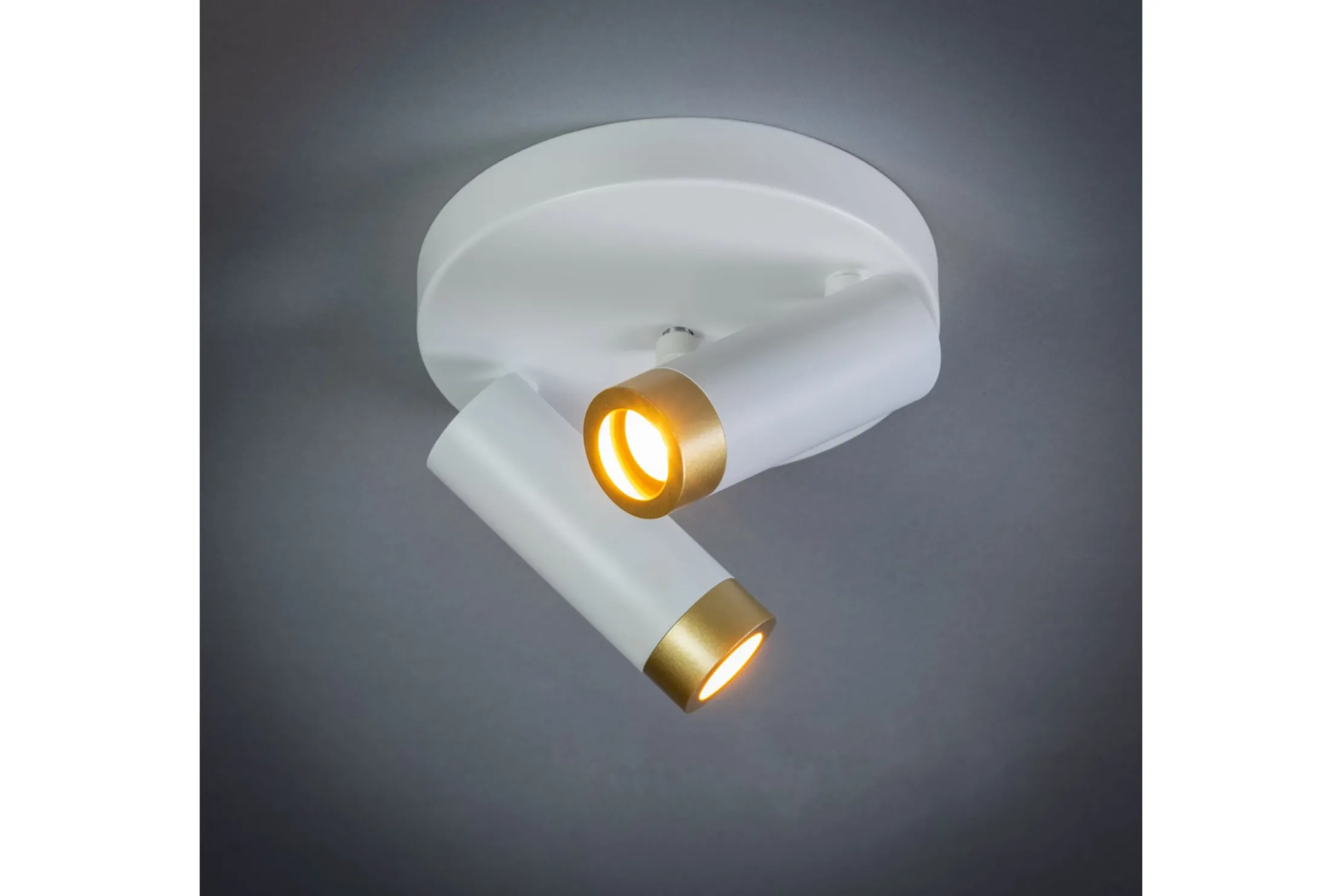 Plafondlamp 05-SP1361-31 Miller
