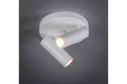 Plafondlamp 05-SP1361-31 Miller