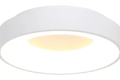 Plafondlamp 2563W Ringlede