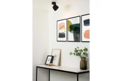 Plafondspot Zwart Trigono