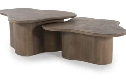 Salontafelset Brown 240219 Fall