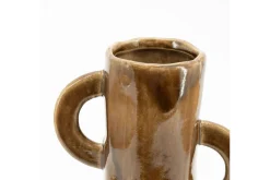 Vaas Bruin 250310 Zaza