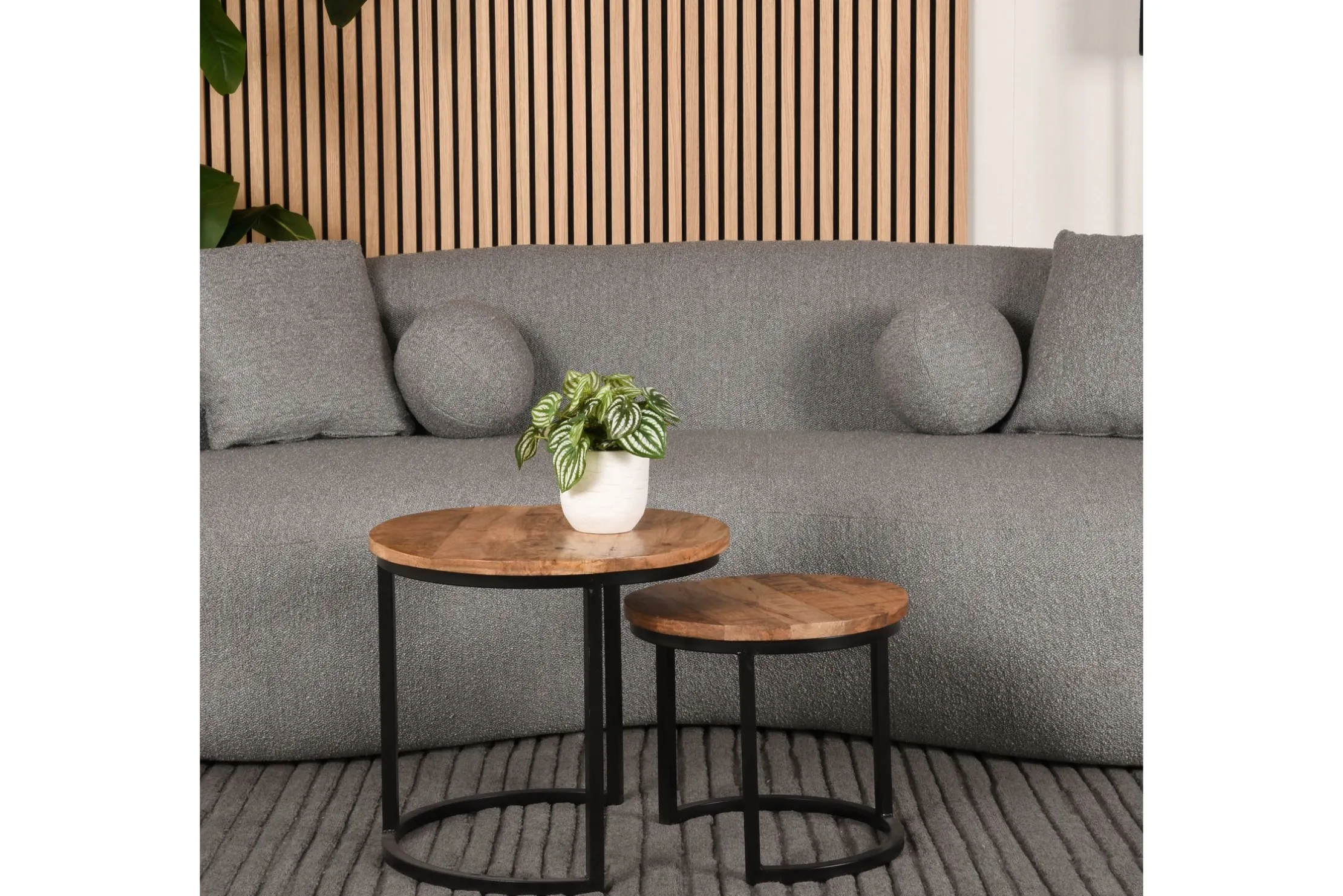 Vloerkleed Antraciet Luxy