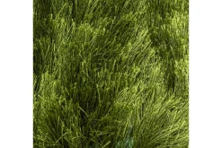 Vloerkleed 474 Arezzo CS | Brinker
