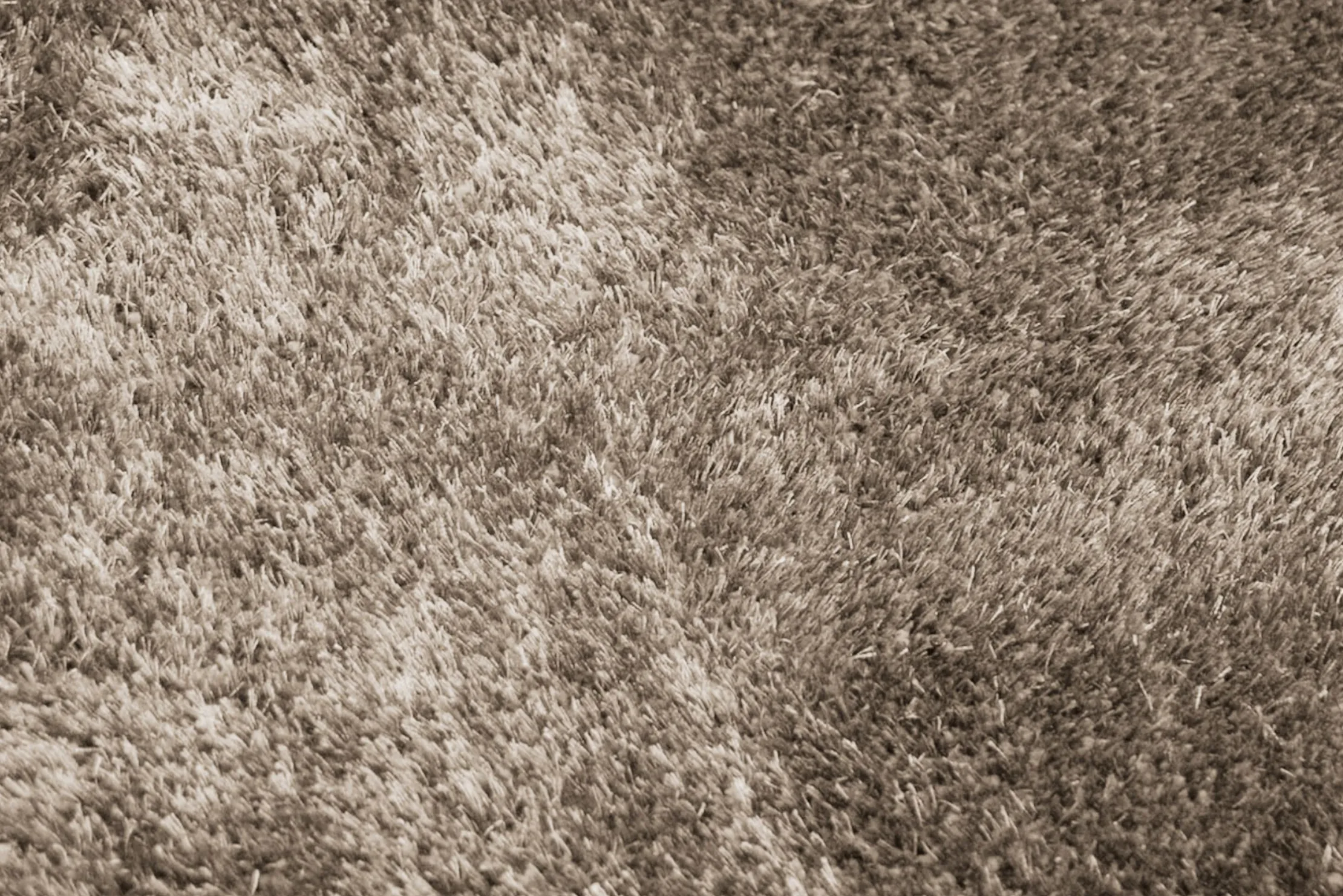 Vloerkleed 16 Beige Kupius