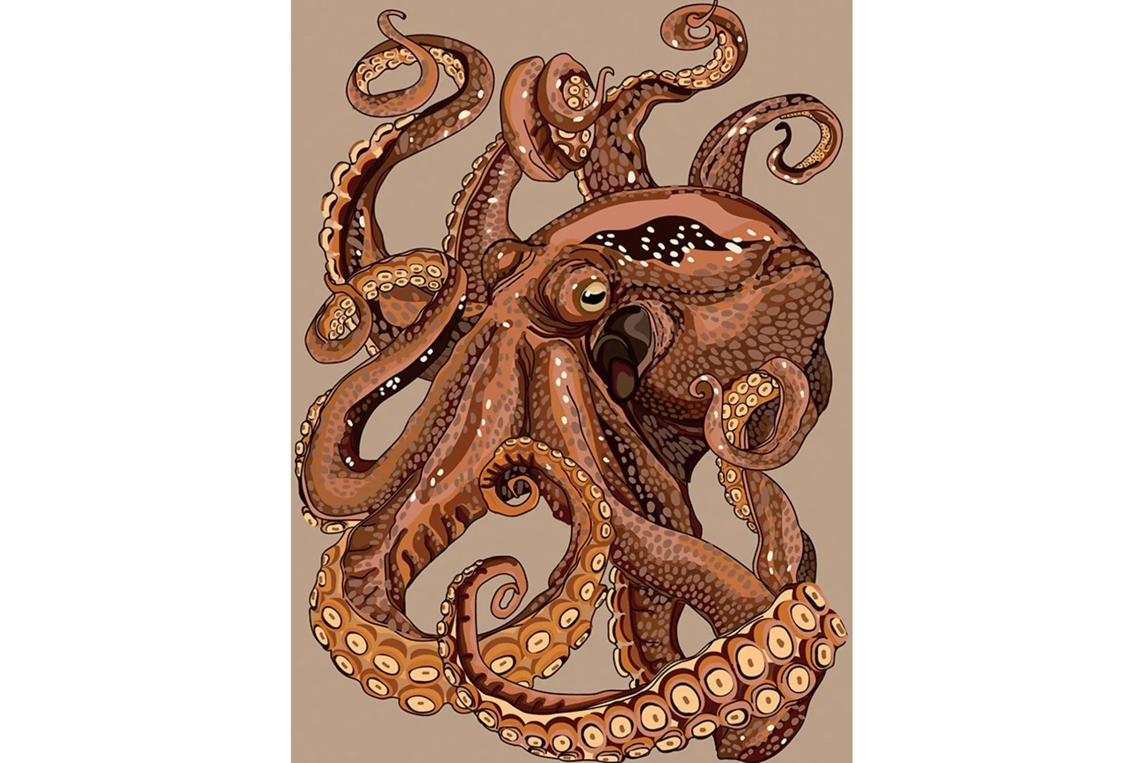 Wandkleed Pulpo